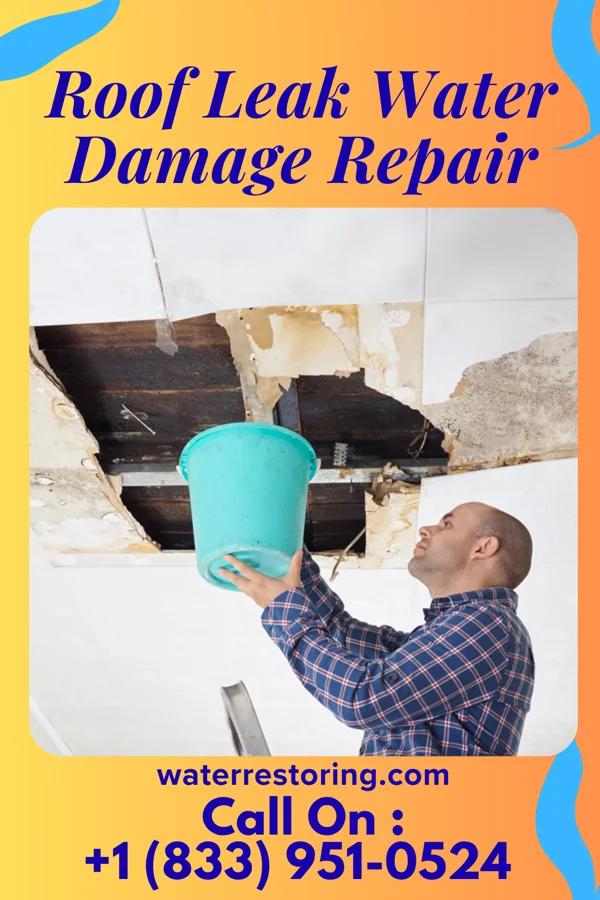 Roof Leak Water Damage Repair in Conconully, WA
